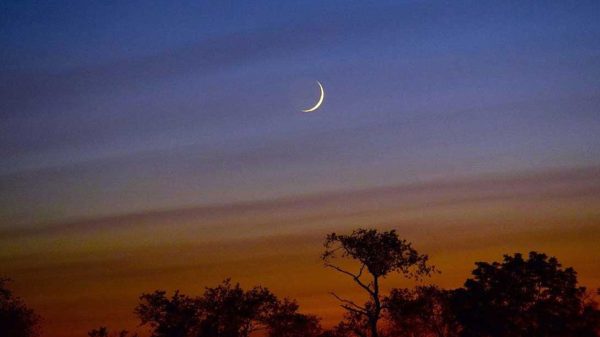 Moon 2 20250527130222