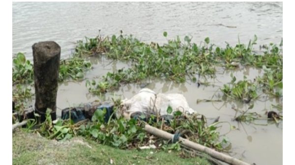 Khulna